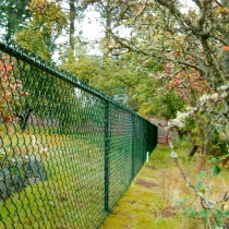 Заборы из сетки рабица